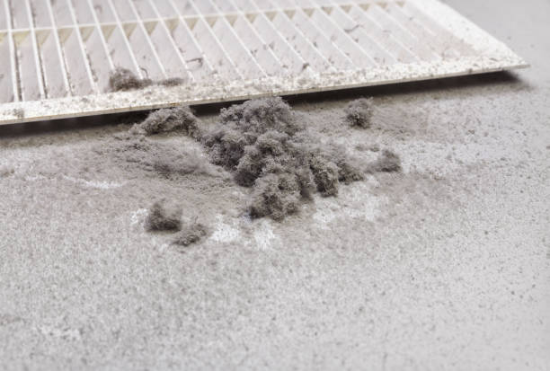 Best Affordable Duct Cleaning Services  in Hemlock Farms, PA