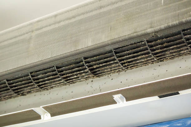 Best Professional Duct Cleaning Services  in Hemlock Farms, PA